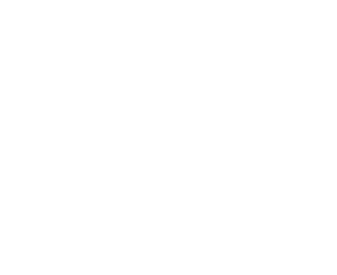 BHP Spence